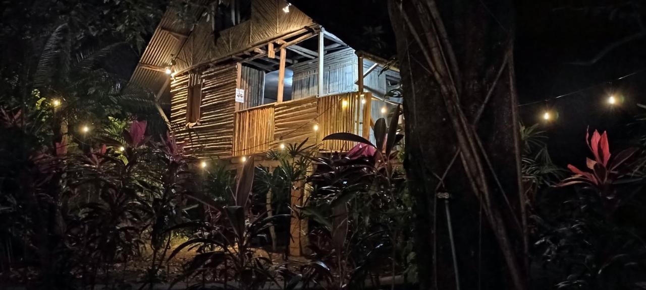 Bambu Hostel David Exteriör bild