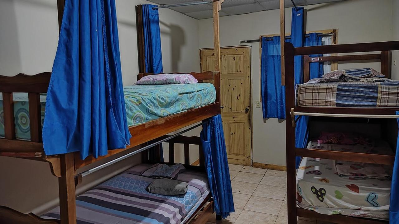 Bambu Hostel David Exteriör bild